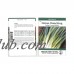 Tokyo Long White Bunching Onion Garden Seeds - 1 Lb - Non-GMO, Heirloom Vegetable Gardening & Micro Greens Seed   565499333